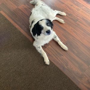 Meet your Posher, Alberta